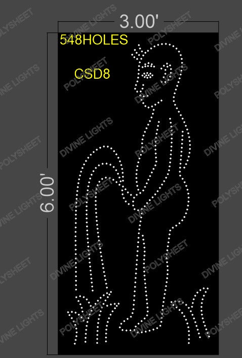 CSD8 CUSTOM DESIGN 6X3 FEET 548 HOLES