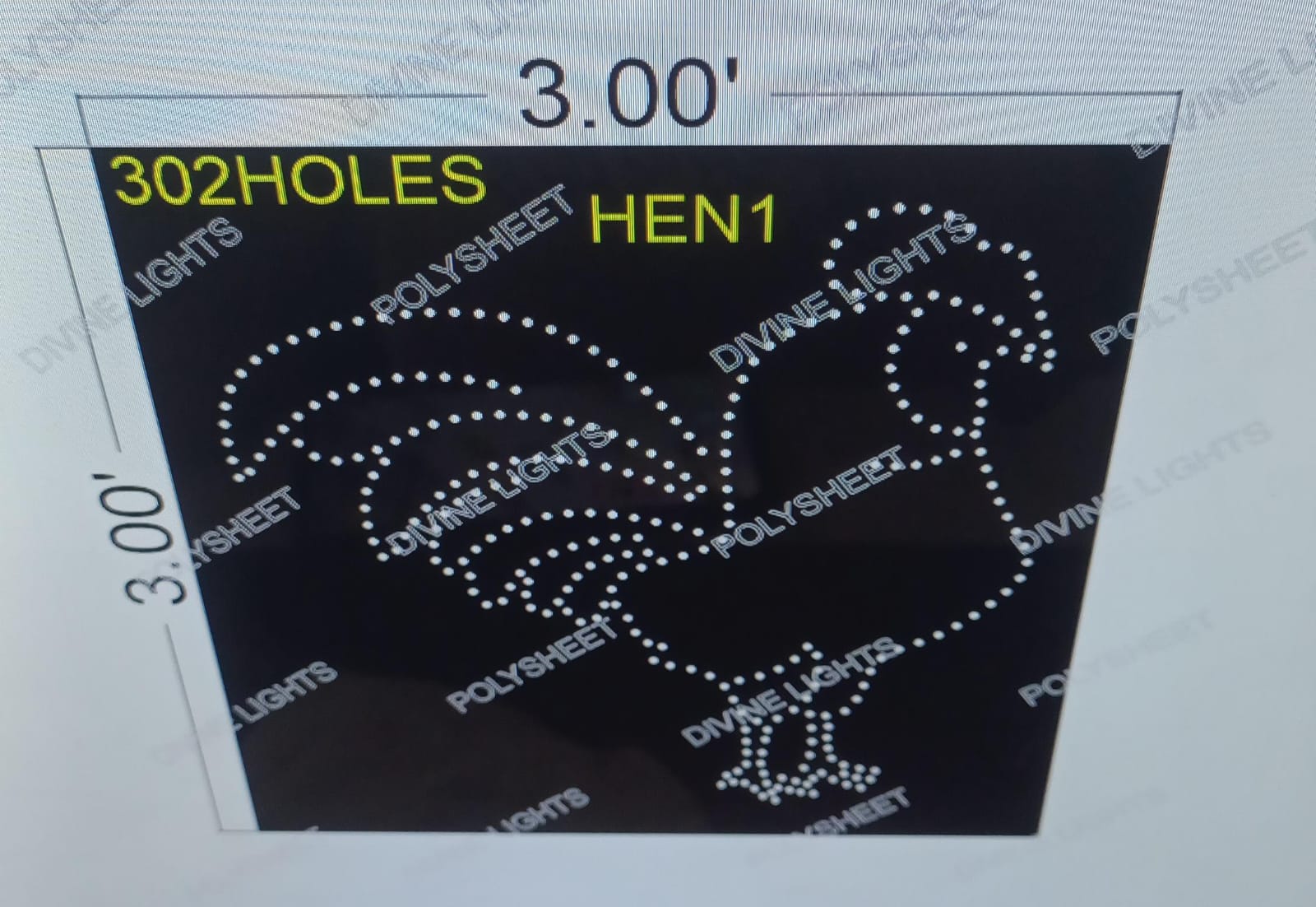 HEN1 HEN 3X3 FEET 302 HOLES