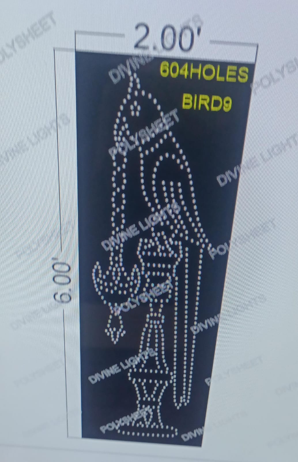 BIRD9 PARROT 6X2 FEET 604 HOLES